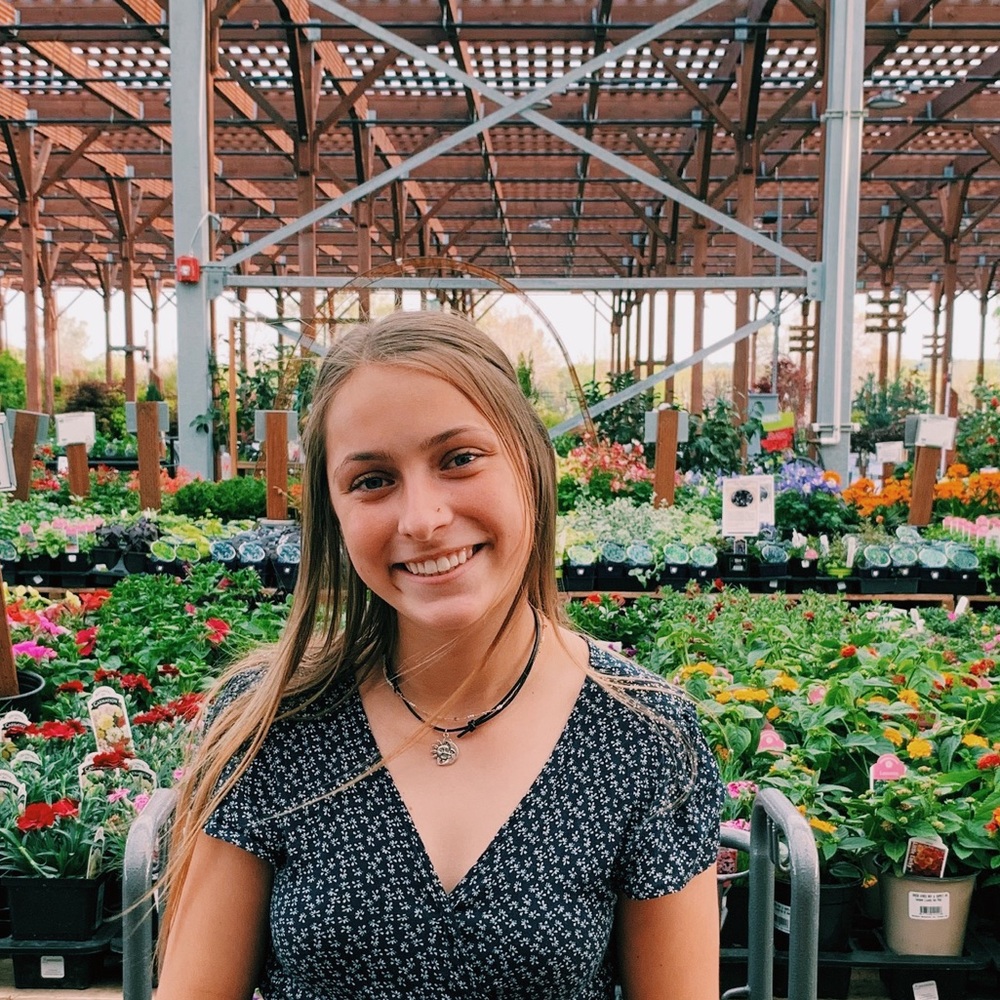 Meet your Posher, Sierra